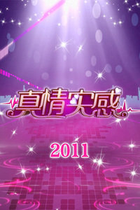 ʵ2011