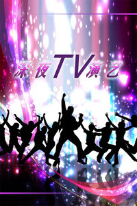 ҹTV2013